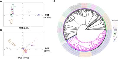 Population Genomic Analysis of Listeria monocytogenes From Food Reveals Substrate-Specific Genome Variation